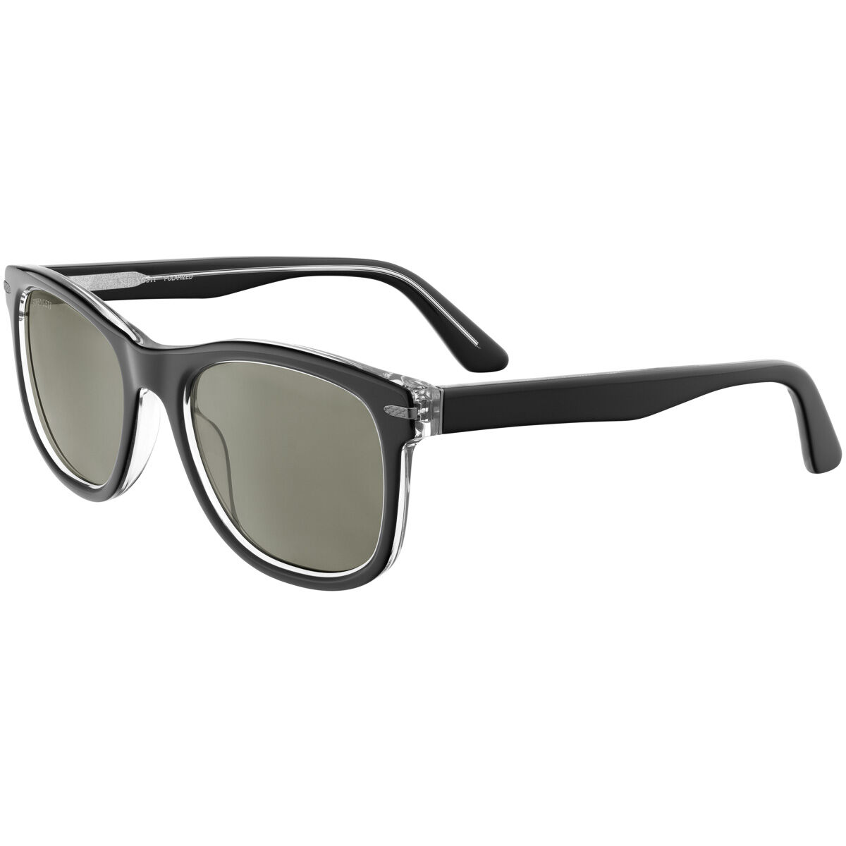 DANNY, Shiny Black-Mineral Polarized 555nm Cat 3 to 3, hi-res image number null